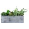 Northlight Artificial Mixed Succulent Plants in a Rectangular Planter - 12"